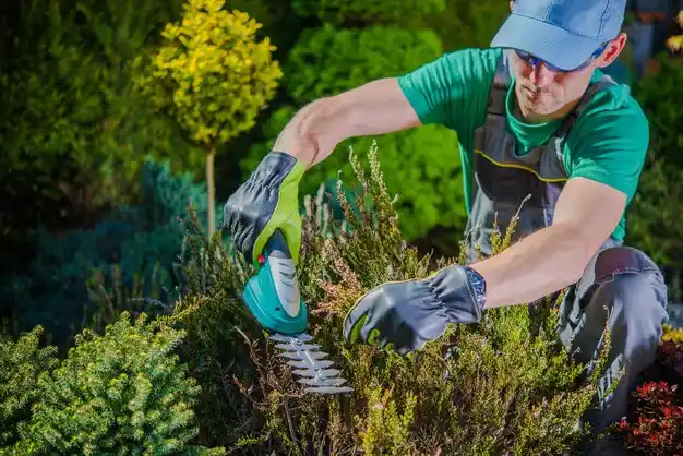 landscaping services Clarks